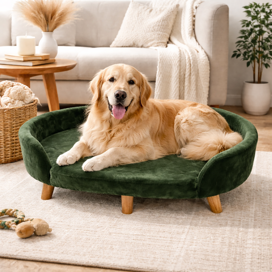 Luxe Raised Pet Sofa Bed for Large Dogs – Forest Green | XL & XXL Sizes