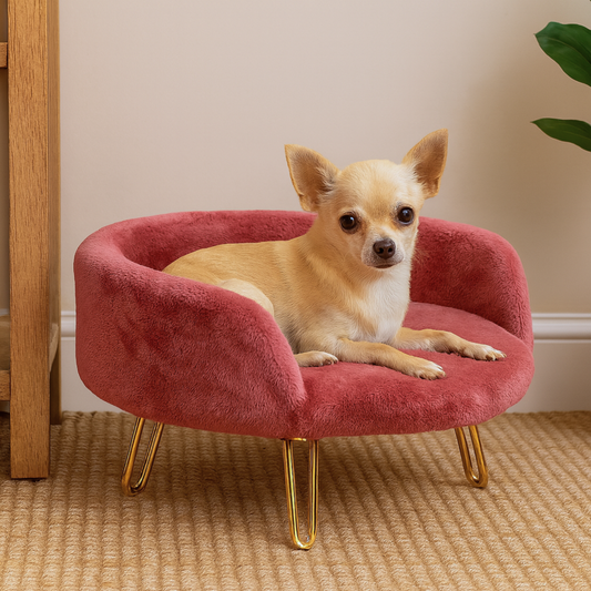 Luxury Plush Pet Bed with Golden Legs – Semi-Enclosed Sofa Design
