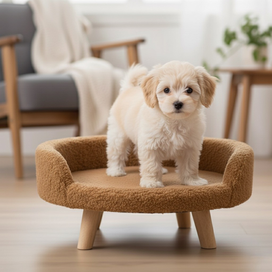Plush Luxe Pet Bed - Mocha Beige