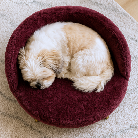 Luxury Burgundy Pet Bed with Golden Legs – Semi-Enclosed Sofa Design
