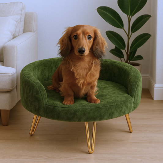 Plush Luxe Pet Bed with Gold Hairpin Legs – Olive Green
